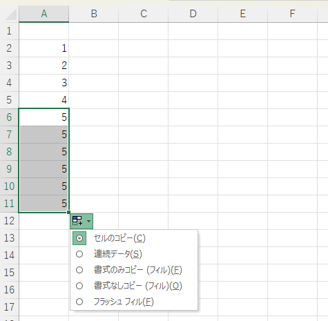 オートフィルオプションの図